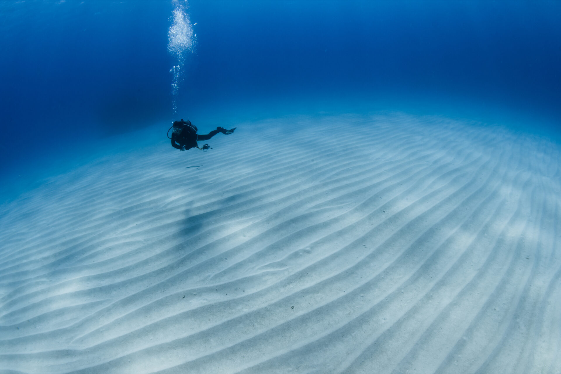 宮古島少人数制ダイビングショップ「EARTH LENS」(ボートチャーター有)